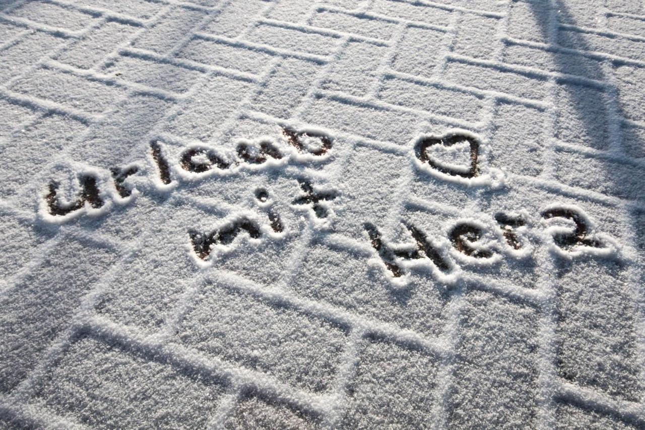 Haus Am Berg - Pension Direkt Am Skihang Oberwiesenthal Ngoại thất bức ảnh